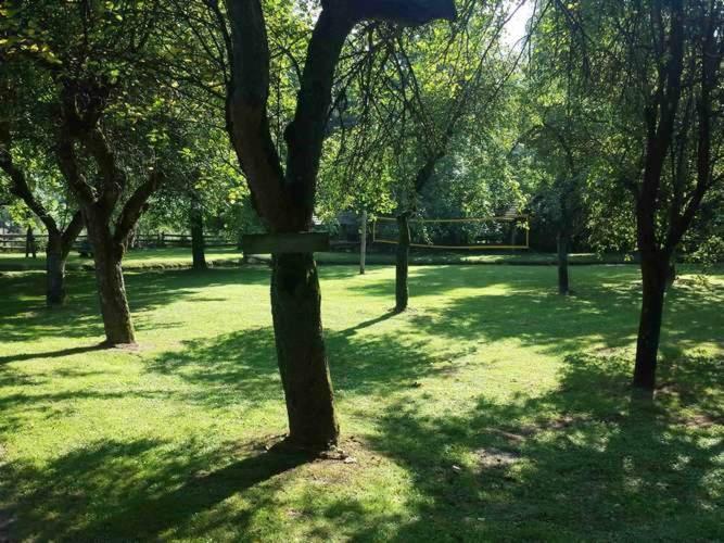 Kamp Na Otoku - Ljubno Ob Savinji Hotel Kültér fotó
