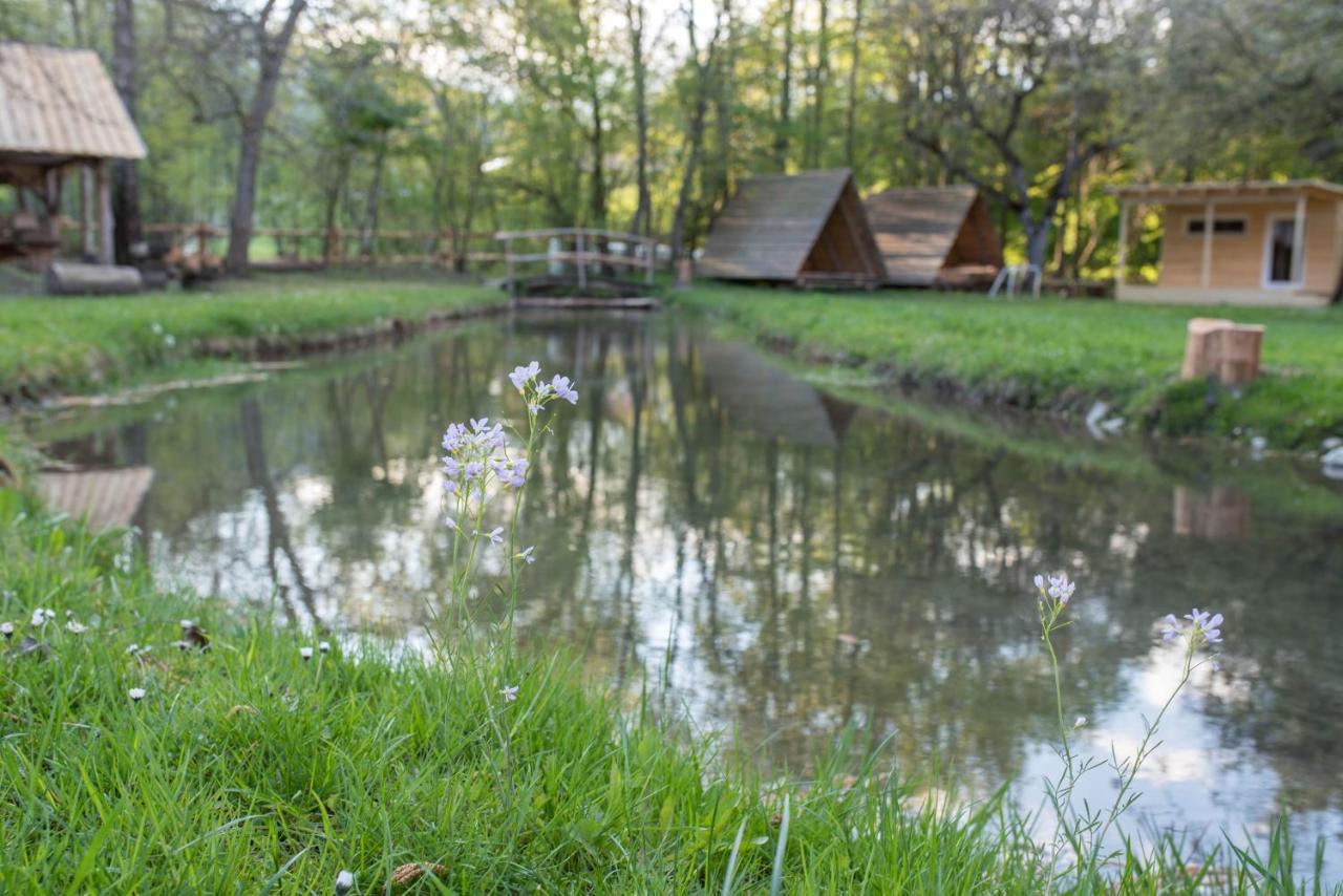 Kamp Na Otoku - Ljubno Ob Savinji Hotel Kültér fotó