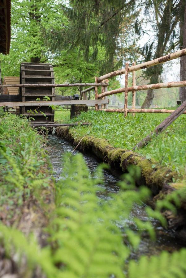 Kamp Na Otoku - Ljubno Ob Savinji Hotel Kültér fotó